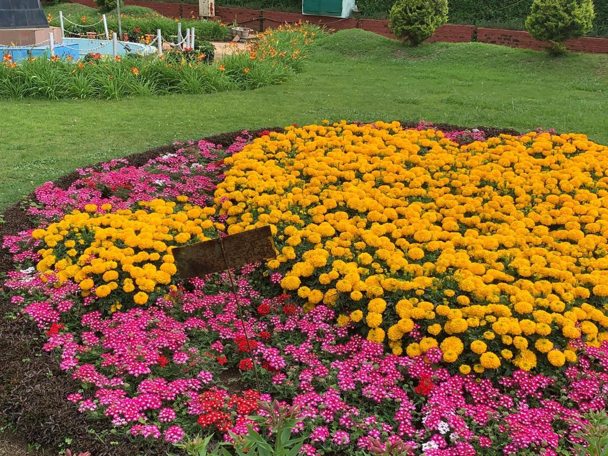 Kodai Pinetree Residency Tamilnadu - Tamilnadu - Kodaikanal Esterno foto